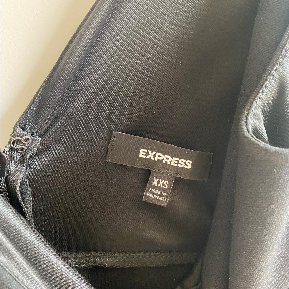 Express Dress - Picture 3 of 3